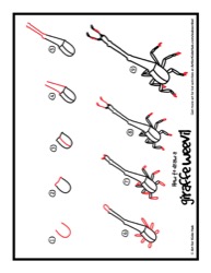 41