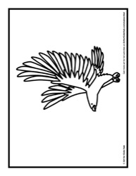41