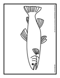 62
