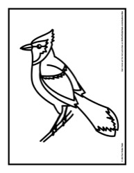 107